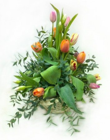 C-12 CESTA DE TULIPANES